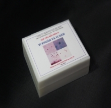 hộp tiêu bản vi khuẩn vi nấm DMK- 2650