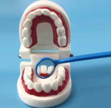 Mô hình hàm răng trẻ em 3 tuổi (20 cái răng) - DMK3357