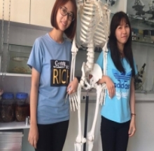 Mô hình bộ xương người 170cm - DMK1736